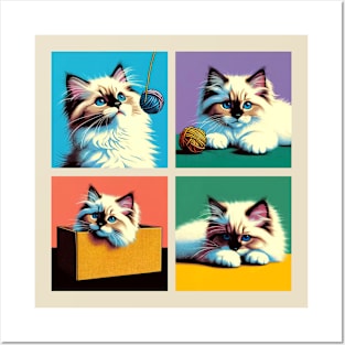 Ragdoll Pop Art - Cute Kitties Posters and Art